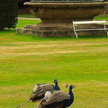 Castle Howard - Yorkshire - England